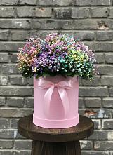 Цветочная композиция из Гипсофила и Розы в шляпной коробке в Пришибе