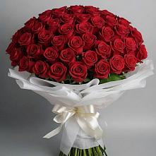 Букет 101 Красная роза Блэк Мэджик в Пришибе