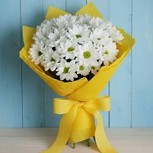 Букет цветов из:  Хризантемы в Пришибе