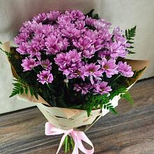 Букет цветов из:  Хризантемы #REPLACE_PRED# Пришибе