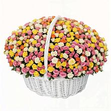 Премиум букет из: Розы в Пришибе