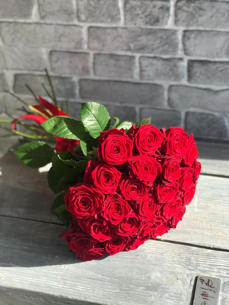 Букет Красные розы Фридом в Пришибе
