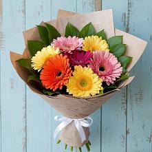 Букет цветов из:  Герберы #REPLACE_PRED# Пришибе