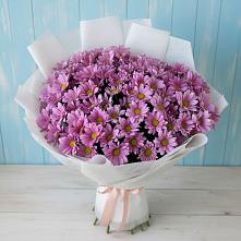 Букет цветов из:  Хризантемы в Пришибе