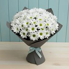 Букет цветов из:  Хризантемы в Пришибе