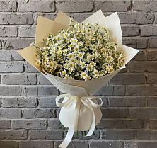 Букет цветов из:  Ромашки в Пришибе