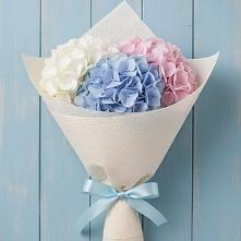 Букет цветов из:  Гортензия в Пришибе