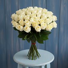 Букет 51 Белая роза Эдлесс Лав #REPLACE_PRED# Пришибе