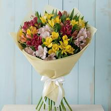 Букет цветов из:  Альстромерии в Пришибе