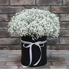 Цветочная композиция из Гипсофила в шляпной коробке в Пришибе