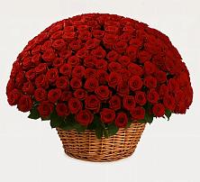 Премиум букет из: Розы в Пришибе