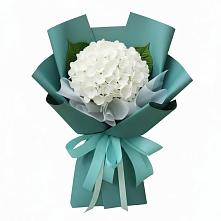 Букет цветов из:  Гортензия в Пришибе